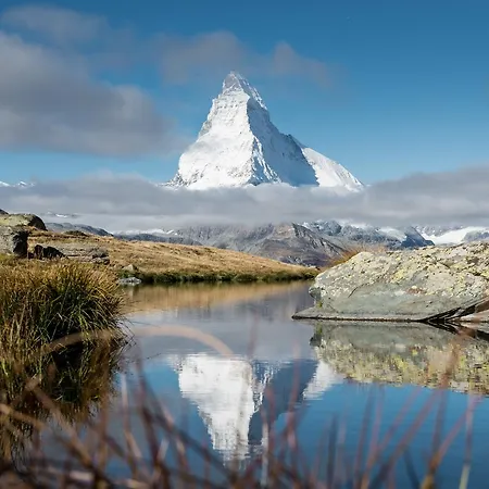 Apartament Butterfly *